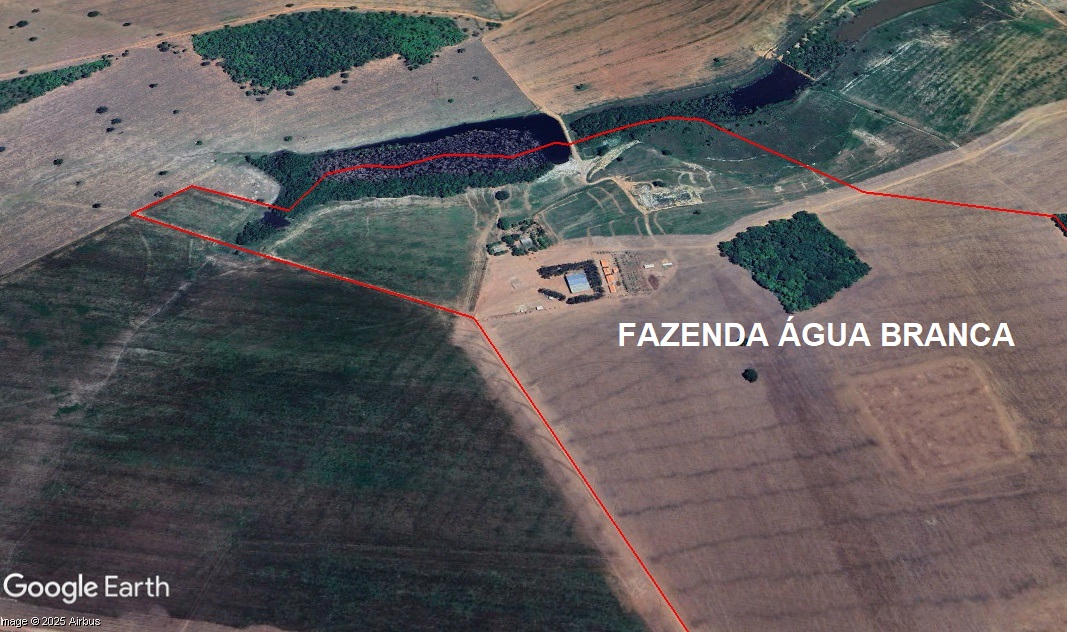 02 (DUAS) FAZENDAS EM BOM JARDIM DE GOIÁS-GO e MONTIVIDIU-GO